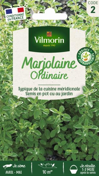 Aromatiques - Marjolaine Annuelle - face recto